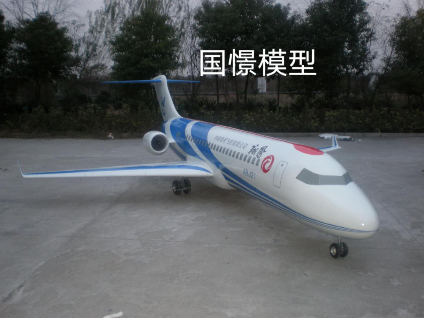清水河县飞机模型