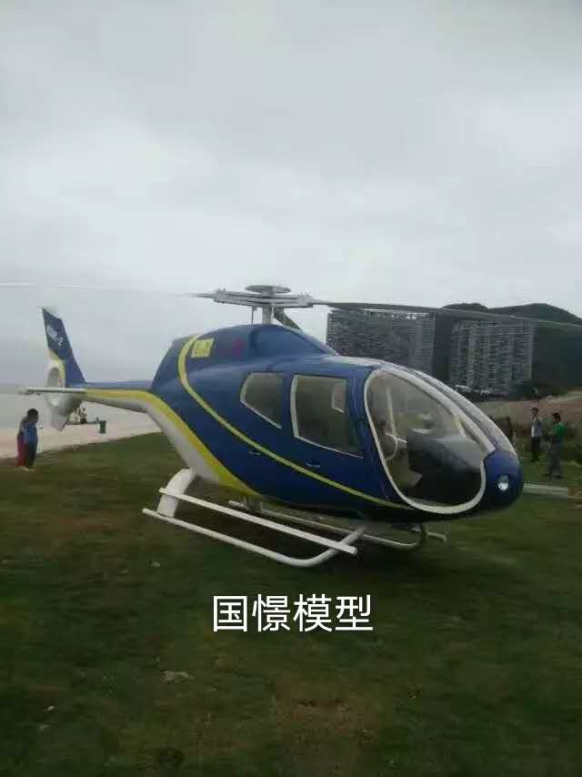 清水河县飞机模型